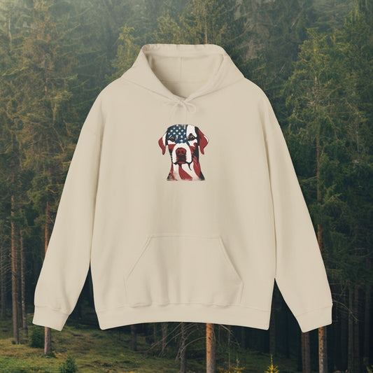 American Flag Lab Hoodie
