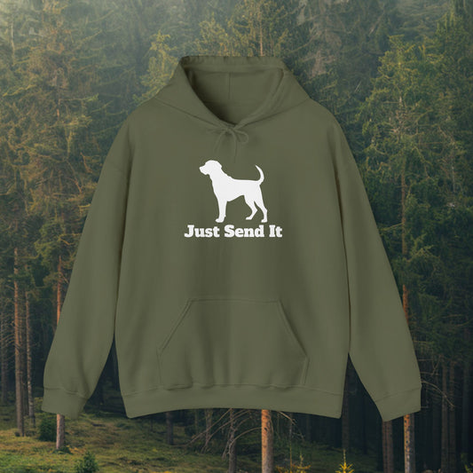 Just Send It Lab Hoodie